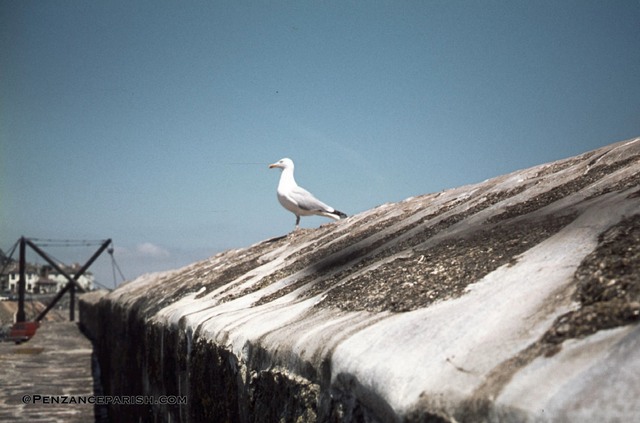 Mousehole 1970-2sca